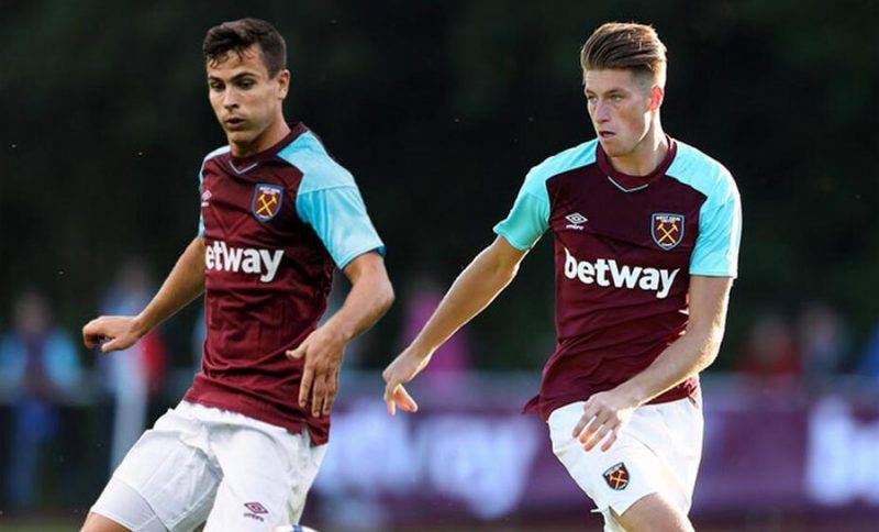 他們強大的 他們強大的